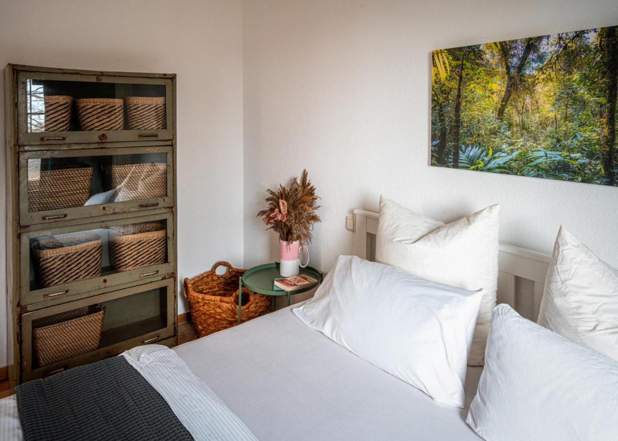 זאסניץ 3-Raum-Appartement Hygge מראה חיצוני תמונה